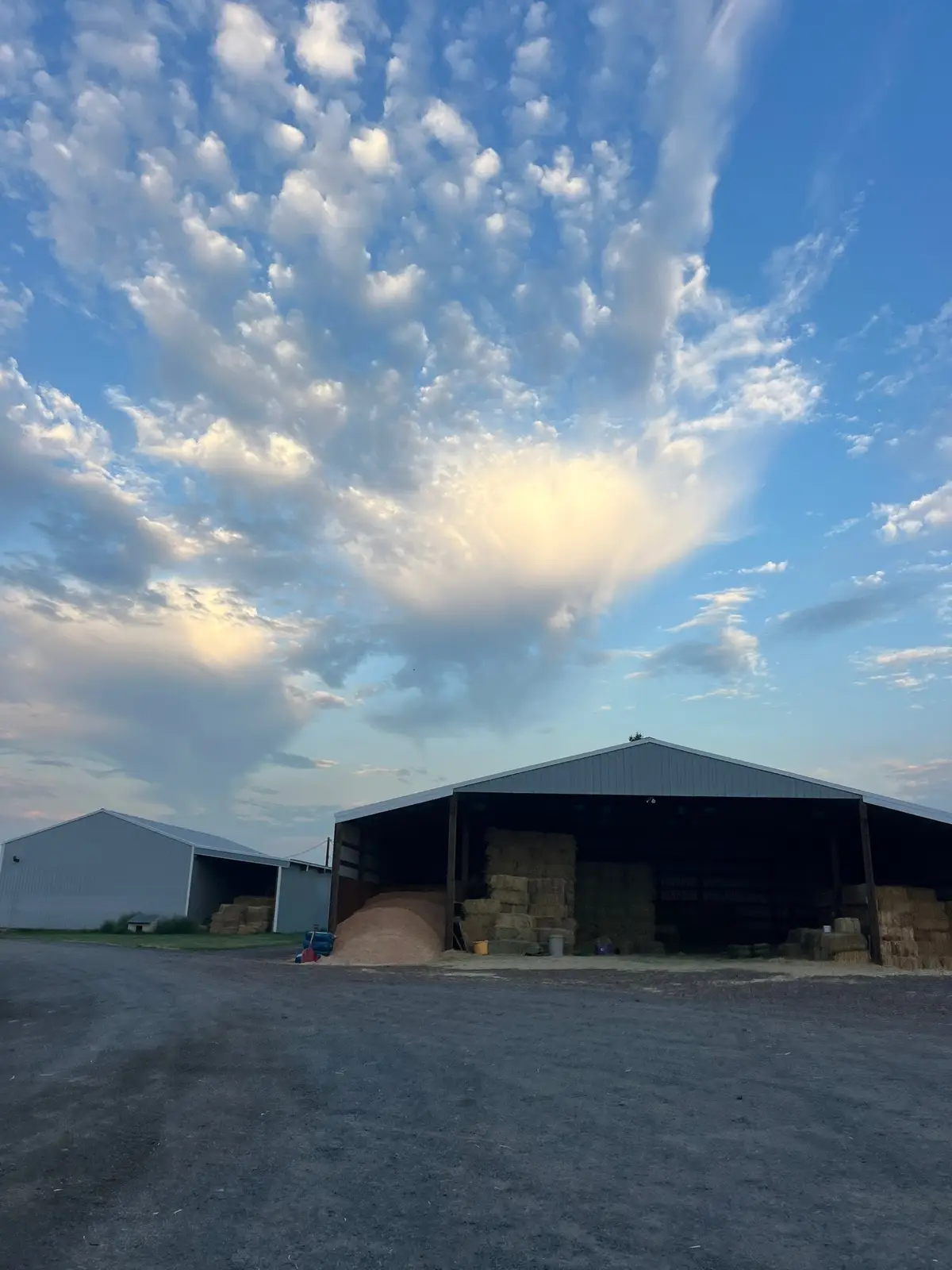 Some of my favorite recent cloud pics 
