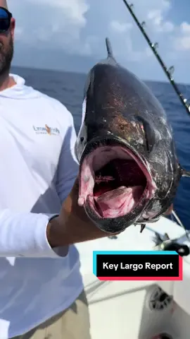 1/3 on swords and kept a nice pomfret. Insta link in bio for more. #Lyonfish #fishing #swordfish #deep #aliens 