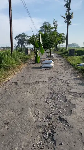 Desa jambewangi kec selopuro kab blitar#jalanrusak #blitar24jam @pemkotblitar 