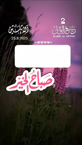 صبـــــــــــاحكم خير وسعاده 🌹🤍🤍#دعاء_الصباح #صباح_الخير #اصبحنا_واصبح_الملك_لله #foryou #foreyoupage 