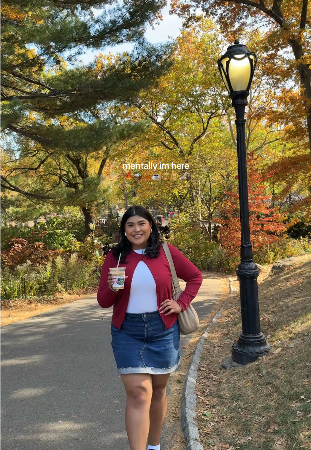 Mentally strolling through Central Park in peak autumn 🍂🍁🌇🚕#fallaesthetic #centralpark #autumn #newyork #fall 