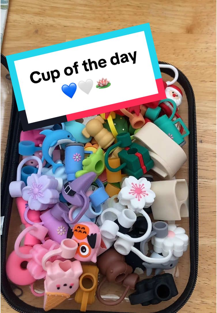 Cup of the day is one of my Favorites Ocean! Sometimes it reminds me of the sky!  Thank you for yhe boot! @Gritandgrace1971 #stanley #cupaccessories #stanleycollector #cupoftheday 