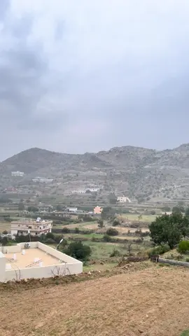 ##بني مالك #