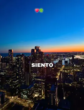 #creatorsearchinsights #salsita #salsa #salsabaul siento 
