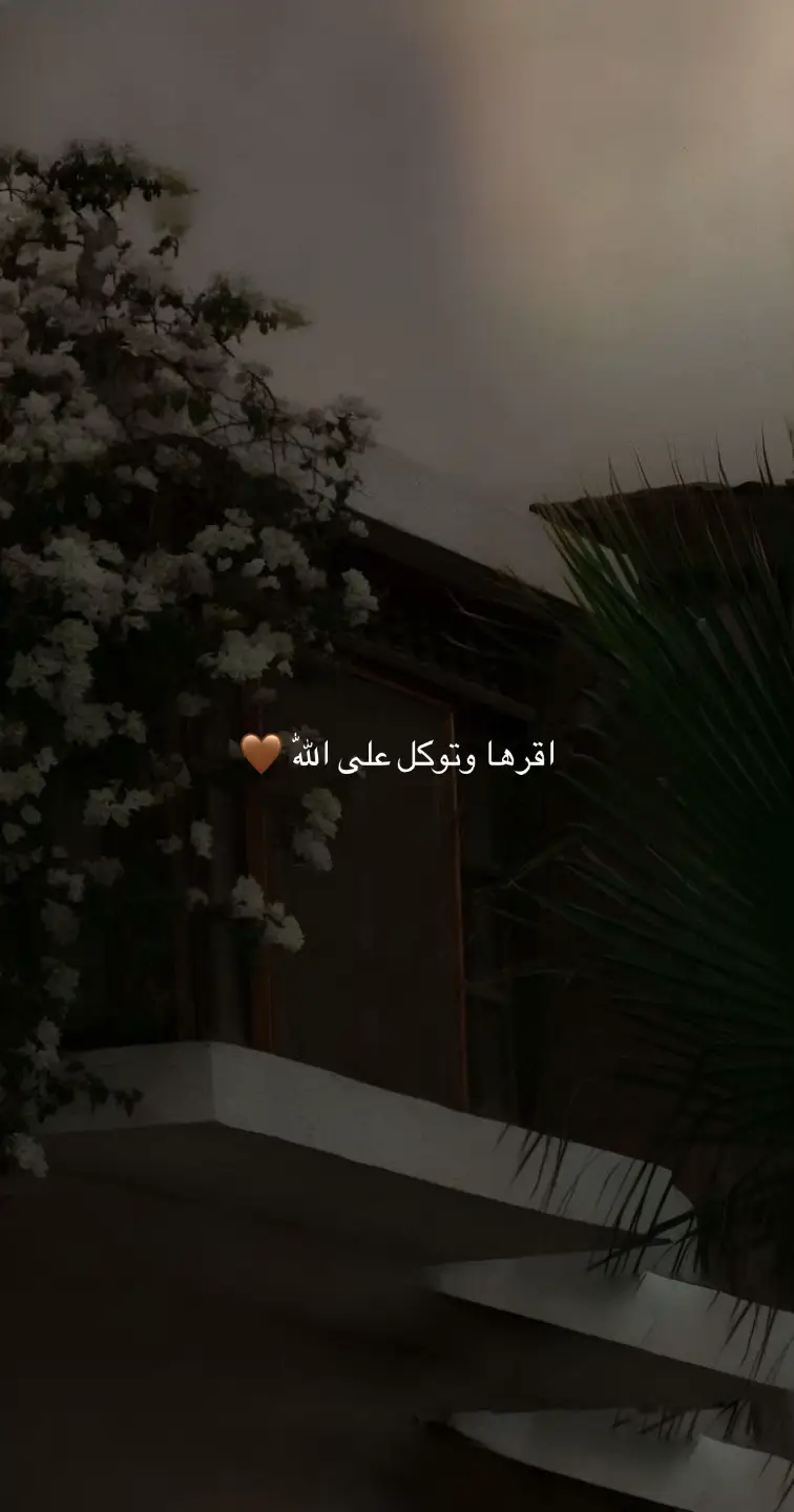 توكل على اللّٰه فمن توكل على اللّٰه فهو حسبه🤎 #viral #foryou #fyp #fypシ゚ #صدقه_جاريه 