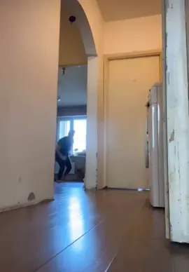 #fyp #fyp #viral #dogsoftiktok #funny 
