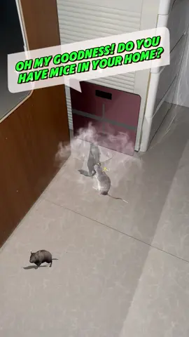 Home, farm, warehouse with mice, recommended to use this Fearleft Mouse Repellent Pouches, a box of 10, each valid for 30 days, plant ingredients , non-toxic and harmless!#Rats #Mice #mouse #Rat #Repellers #mothballs #ratrepellent #You #Need #goodthing #Home #Simple #Solutions #Indoor #fyp #TikTokShop #foryou #fypシ #USA #Outdoo
