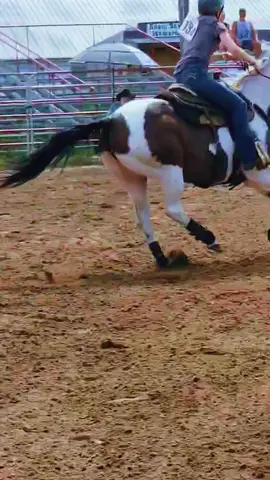 oowwwowww another beautiful run to add to the season! so greatful for this little paint mare! she sure comes to work 💪❤️🫶 #stacks #talent #made #growth #barrelracer @Legendary_Slide 