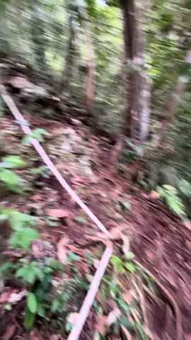 Ini lah dia trail Bukit Kasut gais..jangan terpedaya oleh view yang cantik orang yang manis🤣eh eh eh🤣 Siapa cakap si bongsu ni manja?? Sorry, saya bongsu si pencabar doa mummy. 😛 #bukitkasutniahmiri #ambilkasutkitanaikbukit #girlpower #fypviralシ #whatdoesntkillyoumakessyoustronger🥰❤️🙊 