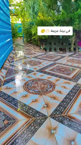 #في_بيتنا_عزيمة #اكسبلورexplore #تصويري_تصميمي #الاردن_سوريا_درعا_مخيم_الزعتري 