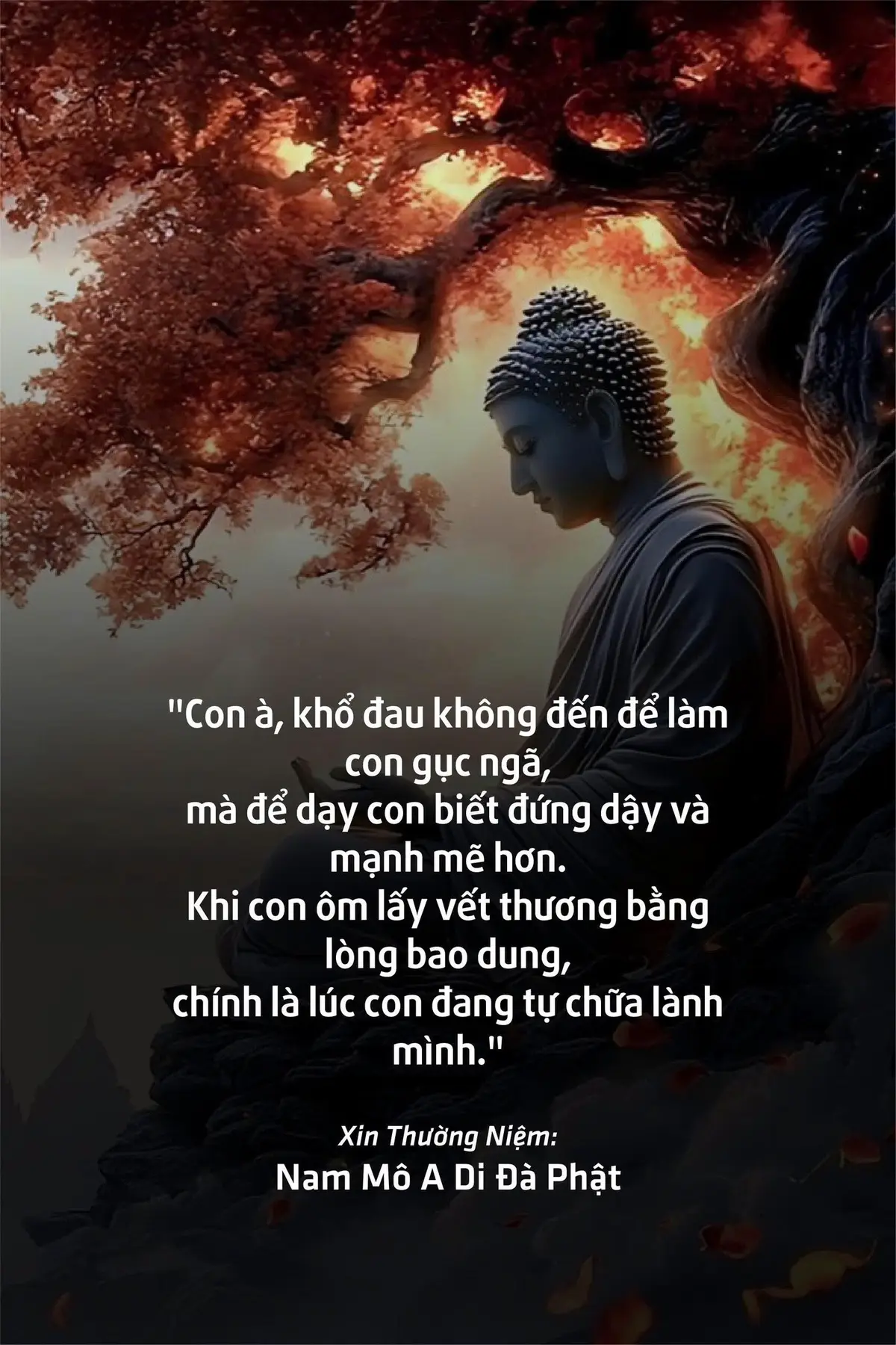 Nam Mô A Di Đà Phật #phatphapnhiemmau #adidaphat #phatphap 