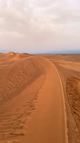 #الربع_الخالي_الرمله #fyppppppppppppppppppppppp #explore #ترند #لايك 