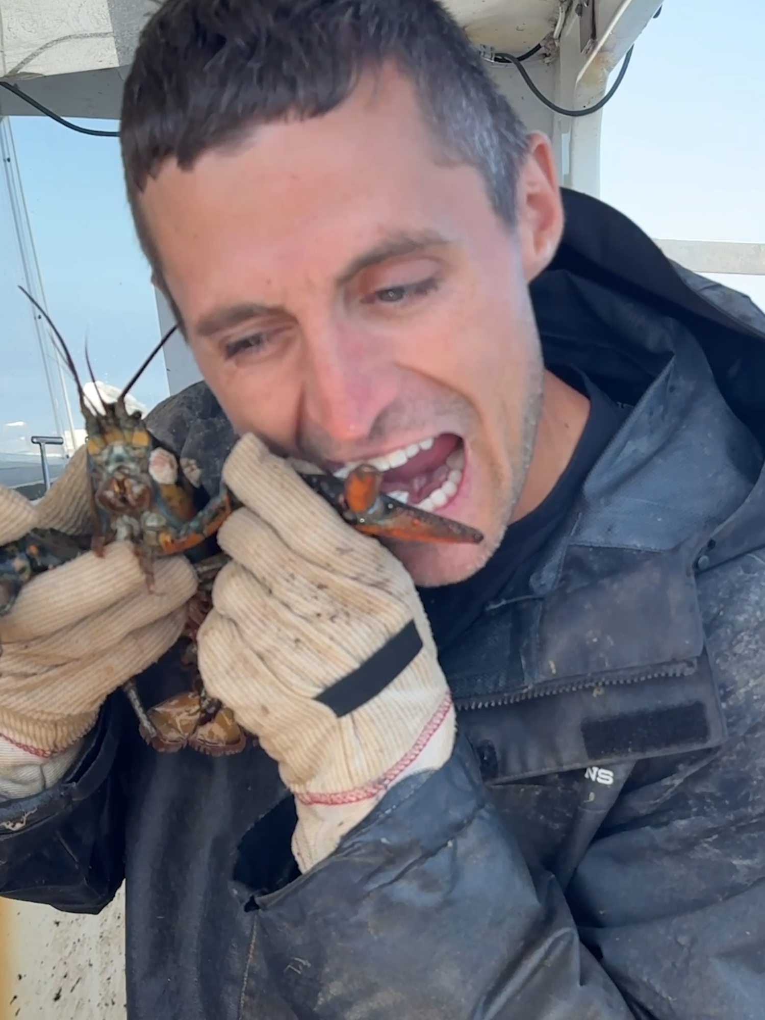 JUICY Barnacle Removal! #maine #interesting #fishing #seafood #commercialfishing #Outdoors #educate #learn #lobster #lobsterfishing #sustainable #theclawspa #asmr #satisfying