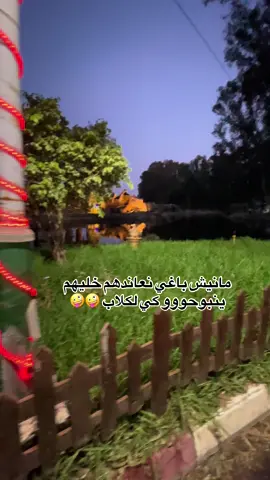 ولي يتوسوس والله ماني عليك اقسم بالله 🤣