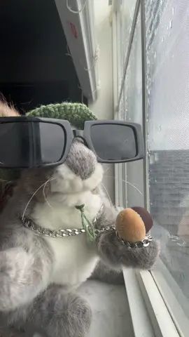 BUSS DOWN CARTI WATCH I GOT THE PLAIN ONE #fyp #nibs #squirrel 