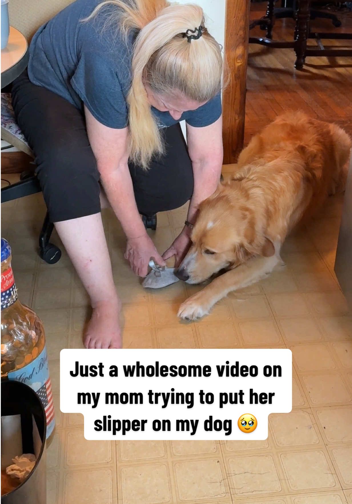The way he looked up at her at the end 🥹 #goldenretriever #cutedog #funnydog #dog #wholesomemoments 