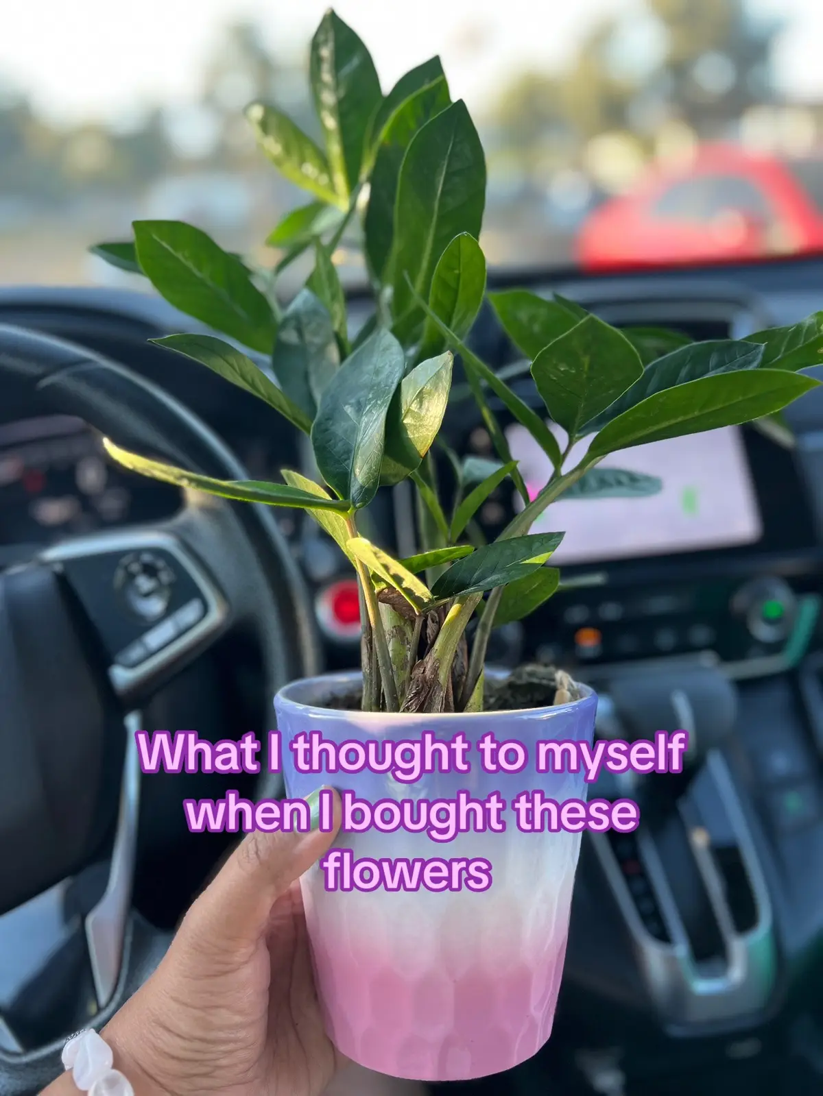 I buy myself flowers every other Sunday and it’s become so exciting trying to figure out which ones I’m gonna buy the next time.  I love having something pretty to look at every time I walk in my living room.  What do you do to fill your cup?  #fillupyourowncup #flowers #girlythings #enjoyyourlife #feelgood 