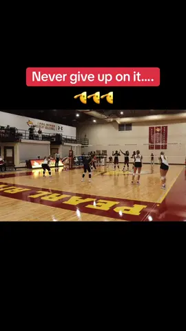 #volleyball #coquivolleyball #viral #voleibol #fyp 
