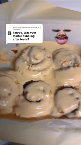 Replying to @Amanda Hottenstine W #sourdoughstarter #breadtok🍞🥐🥖🥯 #bakersoftiktok #theamazingdea253😂👊🏾✌🏽 