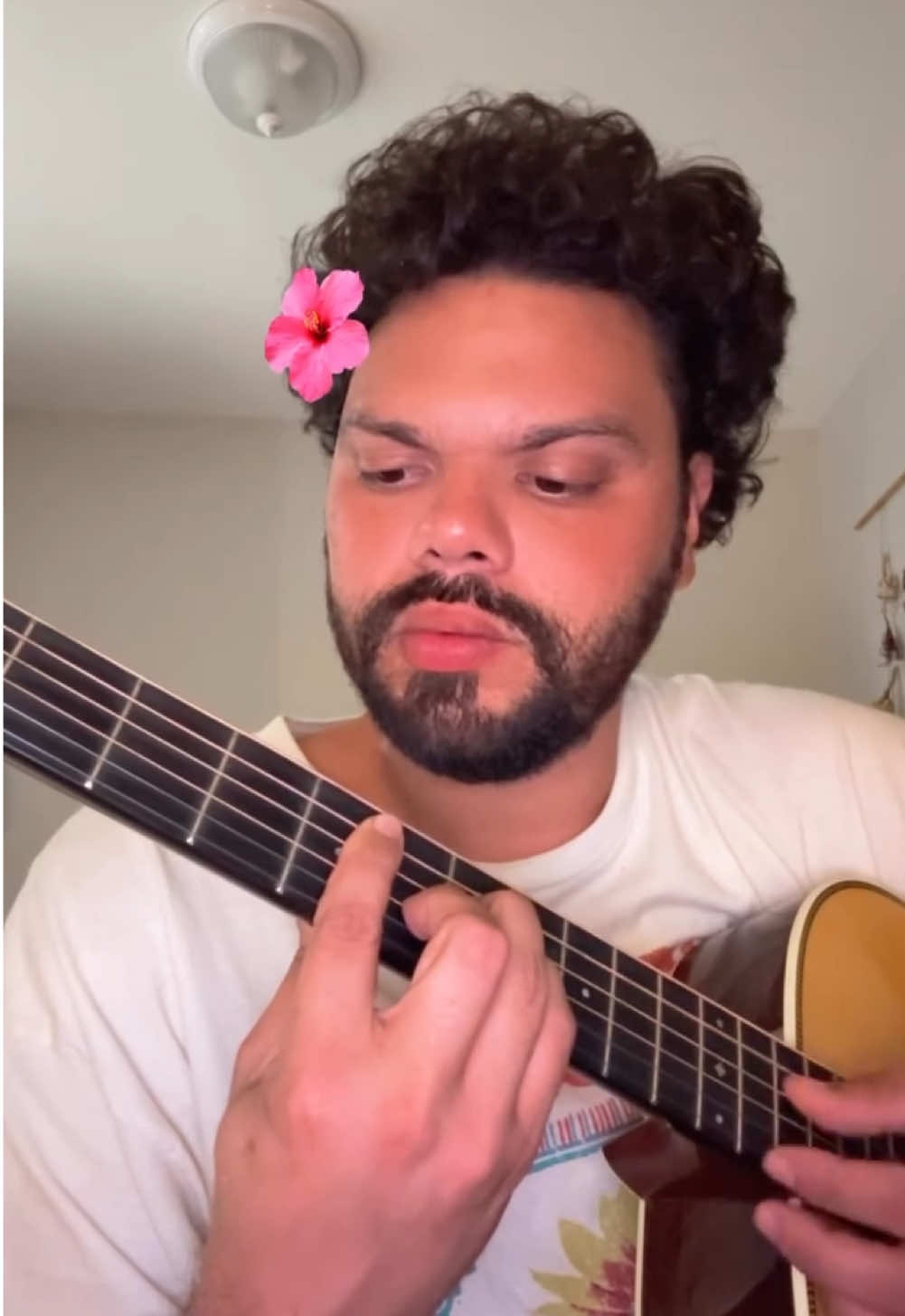 🌸🌸🌸