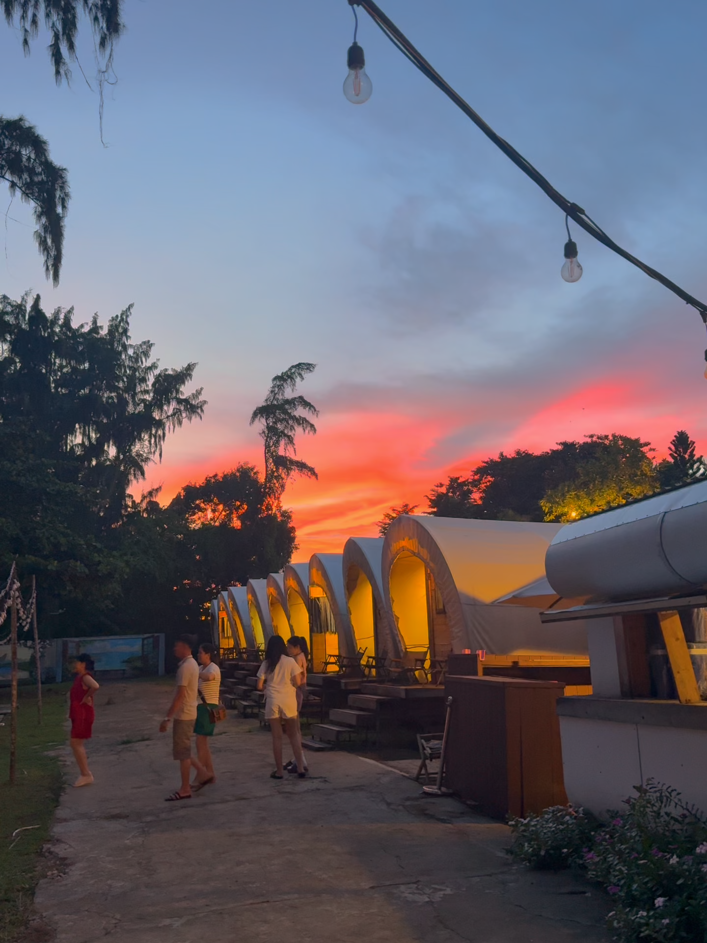 🌅 Hoàng hôn tại Lata Camping Cần Giờ,  ánh nắng cuối ngày len qua tán cây, nhuộm đỏ cả khu rừng 🌳✨ Không cần đi xa, chỉ cần ngồi xuống chill cùng thiên nhiên là thấy lòng bình yên rồi 🏕️ #LataCamping #CanGio #HoangHon #ChillNature #CheckInCanGio#fyp #foryou #foryoupage #viral #trending #xuhuong #tiktokvn #capcut #xuhuongtiktok #review