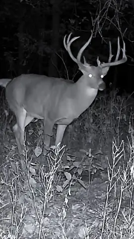New Hunting Music! #huntingmusic #hunters 