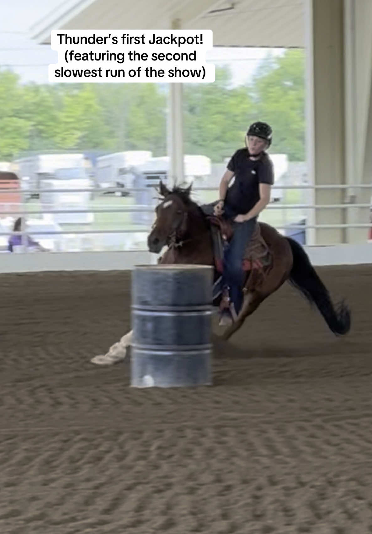 5D barrel horse right there #arabian #slayiguess #fypシ 