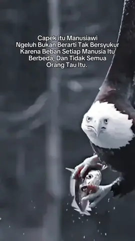 #intinya semangat terus, gak mesti di kejar hari ini, masih ada hari esok🙏