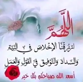 صباح الورد والياسمين والخير من رب كريم #
