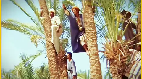 #رسول  #رسول_الله 