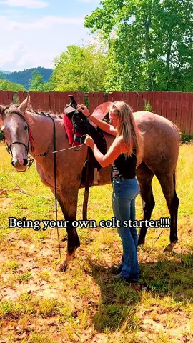 Horse trainer journey #horsetrainer #rodeoroad #workharder #horsegirls #fyp 