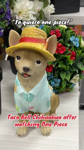 Taco Bell Chihuahua after a One Piece binge #onepiece #anime #weeb #luffy #tacobellchihuahua 