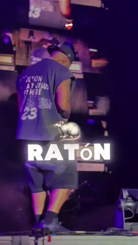 QUE COJONES - ELADIO CARRION #lyrics_songs #eladiocarrion #rolitas #fyp #lyrics_songs 