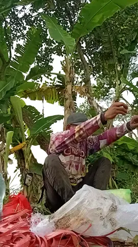 #tasikmalaya #vira #fypage parodi