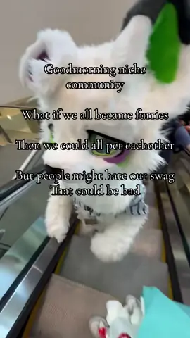 #furry #fyp #abcxyz #viral #contentcreator 