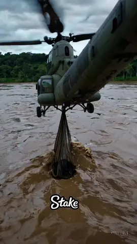 Thousands of anaconda Captured ❤️