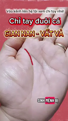 CHỈ TAY ĐUÔI CÁ Thời trẻ gian nan vất vả - Hậu vận Giàu sang phu quý. #xemchitay #chitay #duongchitay #boichitay #mayman 