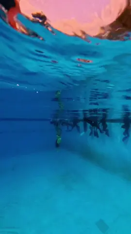 mencari harta karun😂 #fyp #freedive #wibawamukticikarang 