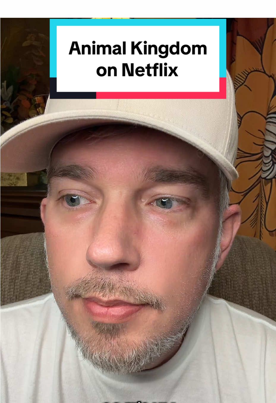 Animal Kingdom. Netflix. #animalkingdom #netflix #series #fyp #dpickel28 