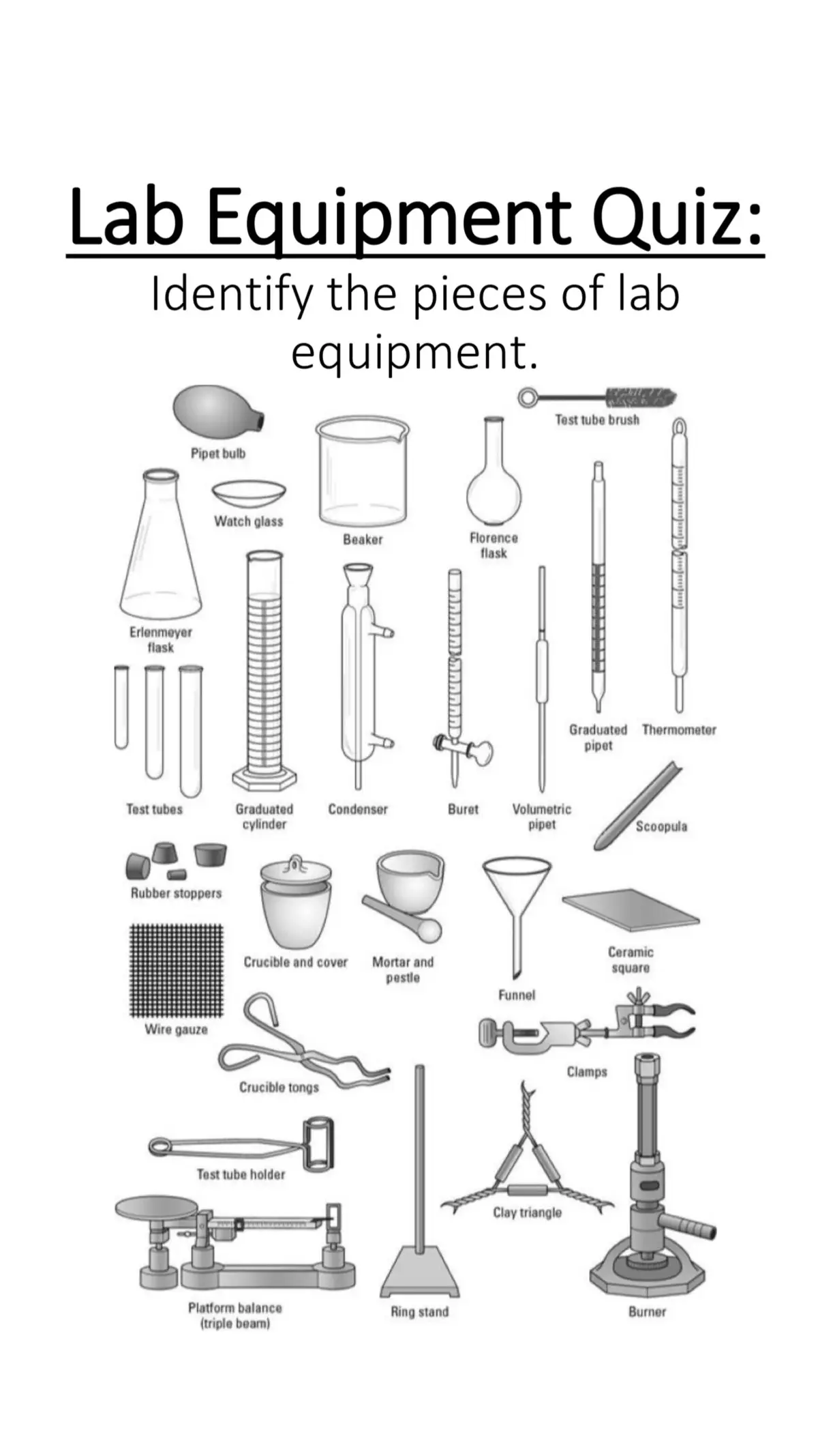 #science #stem #labequipment #biology #teaching 