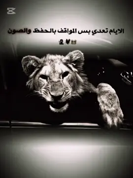#CapCut #صدام🖤🥷 