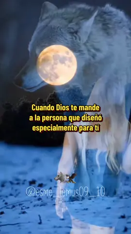 #frases #motivacional #lobo #aguila #🐺🦅 