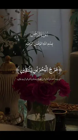 #CapCut #beautiful #quran #islam #roses 