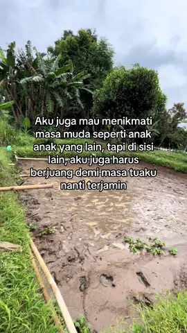 #berkahlele #peternakmuda #lelekonsumsi 
