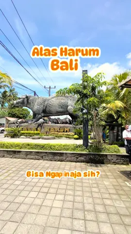 📍Alas Harum Bali Kalo kalian ke Ubud, mesti banget mampir ke tempat yang satu ini nih Disini selain kalian bisa duduk santai juga bisa nikmatin wahana nya Yuk save dan share video ini untuk liburan nanti ke Bali #bali #balinesiatravel #ubud #alasharumbali #liburanbali @Alas Harum Bali 
