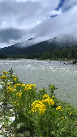 Dhorpatan Nepal 🇳🇵