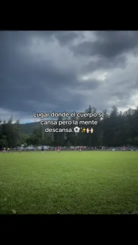 #amoralfutbol❤⚽️ #futbolpasion⚽️#futbol⚽️❤️ #fyp #videoviral 