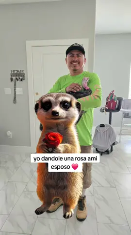 #Meme #MemeCut #CapCut @elmuchachitoalegrechavez 🤭😘