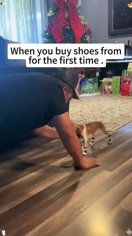 ##$FUNNY#@EVERYONE@EVERYBODY#TIKTOK#