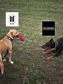 🤫🤫🤫